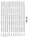 Fig. 31 - CYCLIC NUCLEOTIDE-SPECIFIC PHOSPHODIESTERASES FROM LEISHMANIA AND USES THEREOF