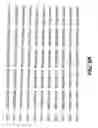 Fig. 48 - CYCLIC NUCLEOTIDE-SPECIFIC PHOSPHODIESTERASES FROM LEISHMANIA AND USES THEREOF