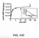 Fig. 58 - CYCLIC NUCLEOTIDE-SPECIFIC PHOSPHODIESTERASES FROM LEISHMANIA AND USES THEREOF