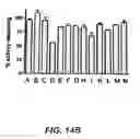Fig. 60 - CYCLIC NUCLEOTIDE-SPECIFIC PHOSPHODIESTERASES FROM LEISHMANIA AND USES THEREOF