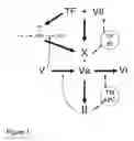 Fig. 02 - Time-course measurement of enzymatic activity corrected for impacts of disturbances relating to the reaction of the enzyme with a substrate