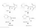 Fig. 01 - Kits pertaining to analyte determination