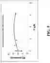 Fig. 06 - Novel Fusion Carbonic Anhydrase/Cellulose Binding Polypeptide Encoded by a Novel Hybrid Gene, and Method of Creating and Using the Same