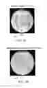 Fig. 08 - Development of strains of the thermotolerant yeast capable of alcoholic fermentation of starch and xylan by expression of starch and xylan degrading enzymes