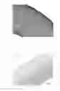 Fig. 02 -  METHOD FOR PREPARING THE DECELLULARIZED MATRIX