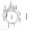 Fig. 07 - Proteases with modified pro regions