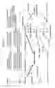 Fig. 02 - Nucleic acid molecules encoding alanine 2,3-aminomutases