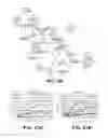 Fig. 47 - Microorganisms for the production of 1,4-butanediol and related methods