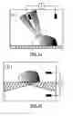 Fig. 02 - METHODS AND APPARATUS FOR INTEGRATED CELL HANDLING AND MEASUREMENTS