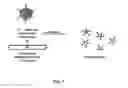 Fig. 08 - Infectivity-enhanced conditionally-replicative adenovirus and uses thereof