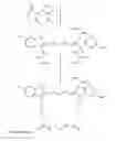 Fig. 08 - Fluorometric analysis kit