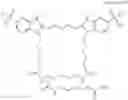 Fig. 49 - Fluorometric analysis kit