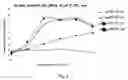 Fig. 04 - Methods and compositions for expressing negative-sense viral RNA in canine cells
