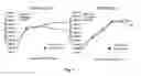 Fig. 05 - Methods and compositions for expressing negative-sense viral RNA in canine cells