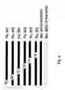 Fig. 07 - Methods and compositions for expressing negative-sense viral RNA in canine cells