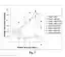 Fig. 08 - Methods and compositions for expressing negative-sense viral RNA in canine cells