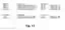 Fig. 19 - Methods and compositions for expressing negative-sense viral RNA in canine cells