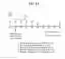 Fig. 101 - Toxin peptide therapeutic agents