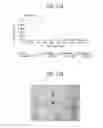 Fig. 115 - Toxin peptide therapeutic agents