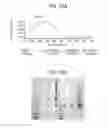 Fig. 68 - Toxin peptide therapeutic agents