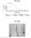 Fig. 70 - Toxin peptide therapeutic agents