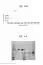 Fig. 87 - Toxin peptide therapeutic agents