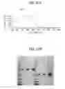 Fig. 91 - Toxin peptide therapeutic agents