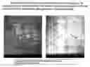 Fig. 01 - Methods of genome installation in a recipient host cell