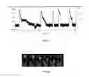 Fig. 08 - Molecular affinity clamp technology and uses thereof