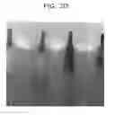 Fig. 06 - Method for fabricating semiconductor device