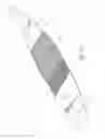 Fig. 12 - Surfboard having a honeycomb core