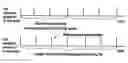 Fig. 01 - Method and arrangement for handover or cell reselection evaluation