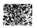 Fig. 01 - Silicon-containing particles, method for manufacturing thereof, oil composition, ceramic material, and method for manufacturing thereof