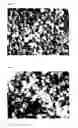Fig. 03 - Silicon-containing particles, method for manufacturing thereof, oil composition, ceramic material, and method for manufacturing thereof