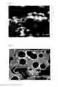 Fig. 04 - Silicon-containing particles, method for manufacturing thereof, oil composition, ceramic material, and method for manufacturing thereof
