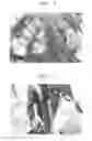 Fig. 04 - Method of applying a herbicidal composition