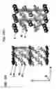Fig. 02 - SUPERCONDUCTOR COMPRISING LAMELLAR COMPOUND AND PROCESS FOR PRODUCING THE SAME