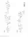 Fig. 11 - SELECTIVE ENRICHMENT OF N-TERMINALLY MODIFIED PEPTIDES FROM COMPLEX SAMPLES