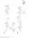 Fig. 12 - SELECTIVE ENRICHMENT OF N-TERMINALLY MODIFIED PEPTIDES FROM COMPLEX SAMPLES