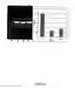 Fig. 48 - Methods for the Detection of Colorectal Cancer