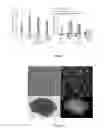 Fig. 06 - Particle capture devices and methods of use thereof