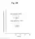 Fig. 04 - Flow cytometry for high throughput screening