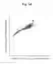 Fig. 05 - Flow cytometry for high throughput screening