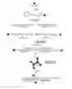 Fig. 01 - Magnetic-nanoparticle conjugates and methods of use