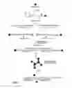 Fig. 02 - Magnetic-nanoparticle conjugates and methods of use