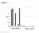 Fig. 11 - Method and nucleic acids for the analysis of colon cell proliferative disorders