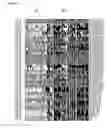 Fig. 18 - Method and nucleic acids for the analysis of colon cell proliferative disorders