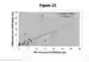 Fig. 24 - Method and nucleic acids for the analysis of colon cell proliferative disorders