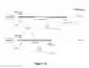 Fig. 13 - METHODS FOR DETECTING DNA METHYLATION USING ENCODED PARTICLES