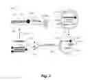 Fig. 03 - Method of enhancing enzyme activity